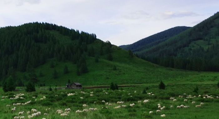 Атмосферные фотографии деревни, где живут староверы
