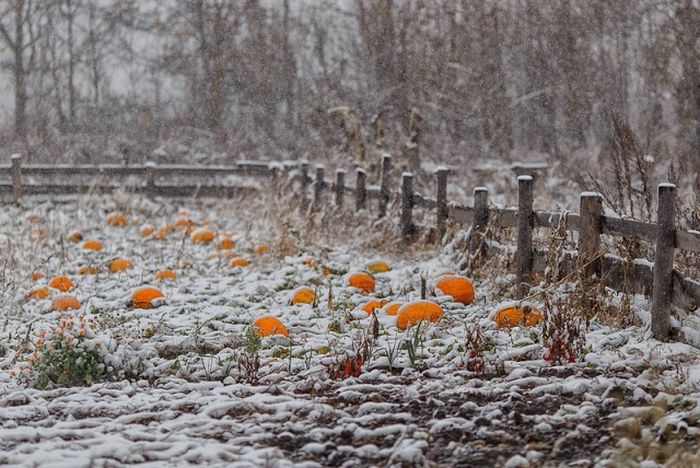 Атмосферные фотографии деревни, где живут староверы
