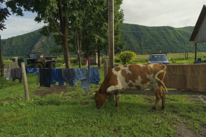 Атмосферные фотографии деревни, где живут староверы