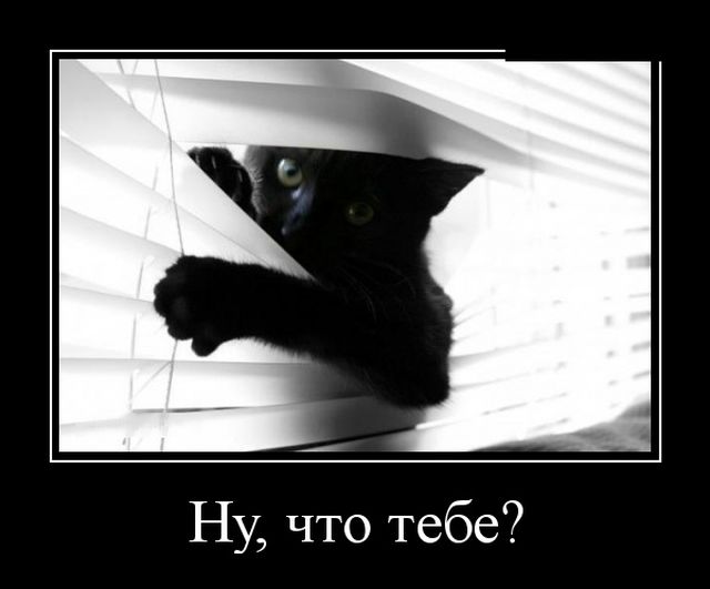 Демотиваторы