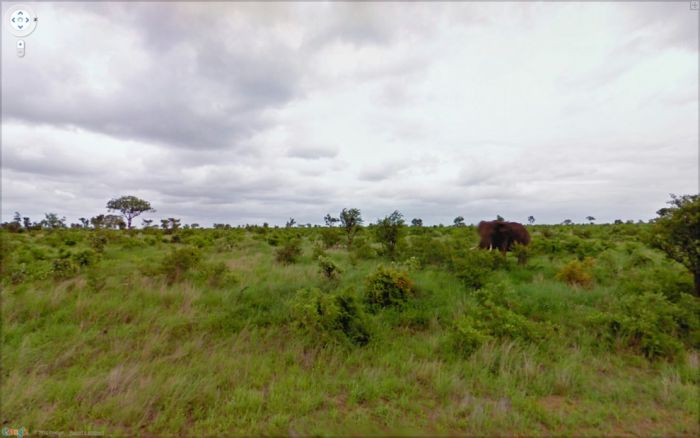 Странные фотографии с Google Street