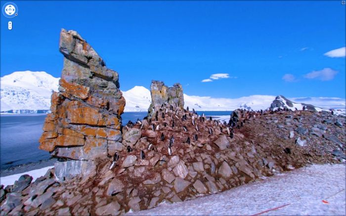 Странные фотографии с Google Street