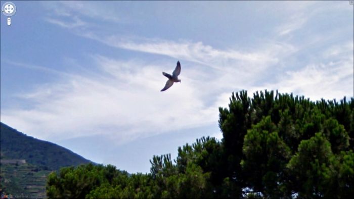 Странные фотографии с Google Street