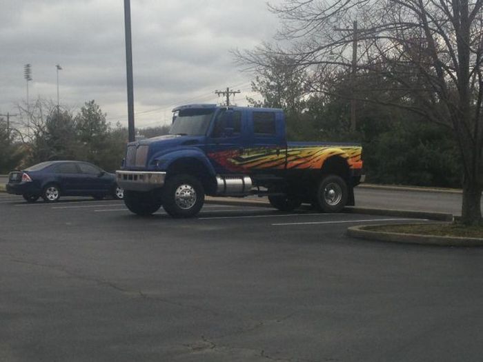 Прикольные картинки