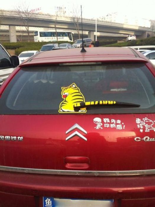 Прикольные картинки