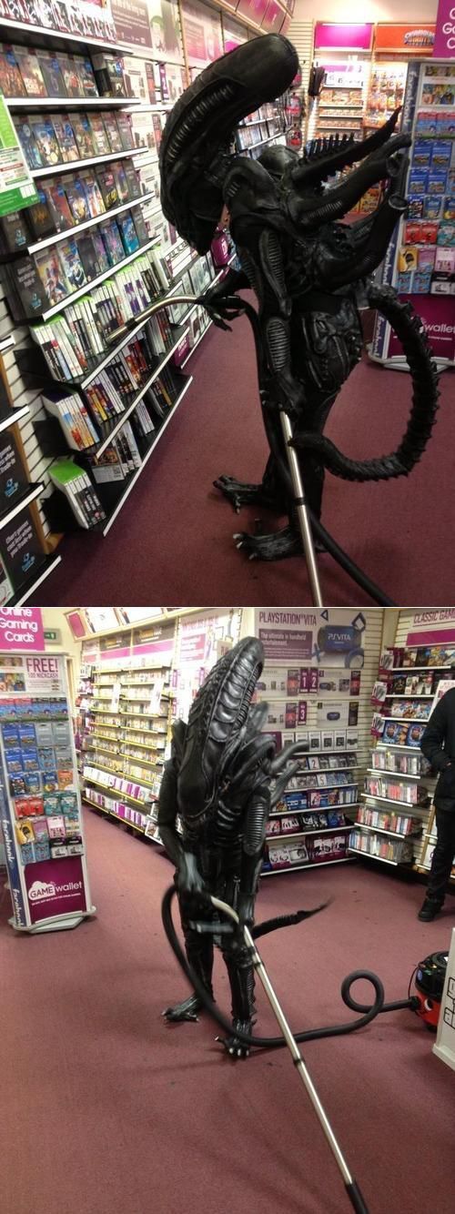 Прикольные картинки