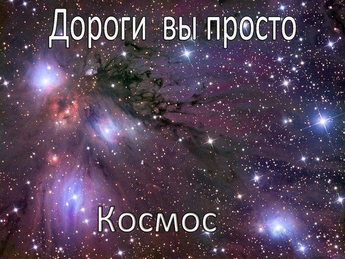 Авто-юмор. Часть 7 (40 фото)