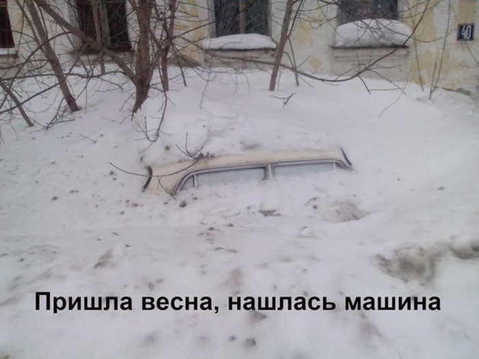 Авто-юмор. Часть 7 (40 фото)