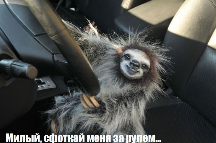 Авто-юмор. Часть 7 (40 фото)