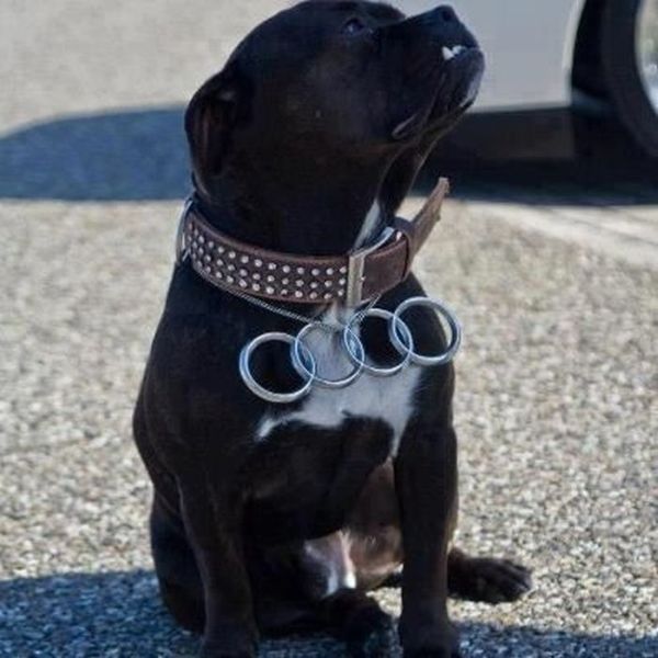 Авто-юмор. Часть 7 (40 фото)