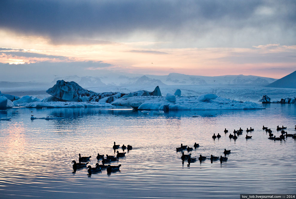 Ледниковая лагуна в Исландии Ледниковая лагуна в Исландии