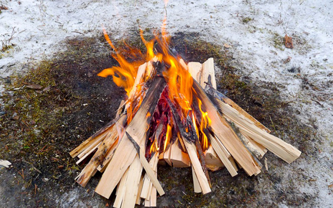 Стратегия выживания весной в лесу Стратегия выживания весной в лесу