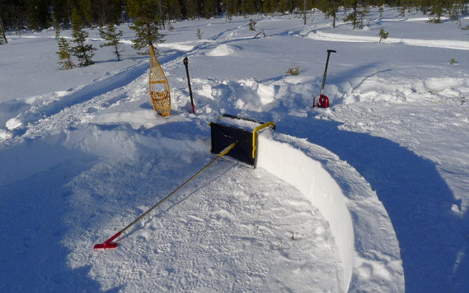 Стратегия выживания весной в лесу Стратегия выживания весной в лесу