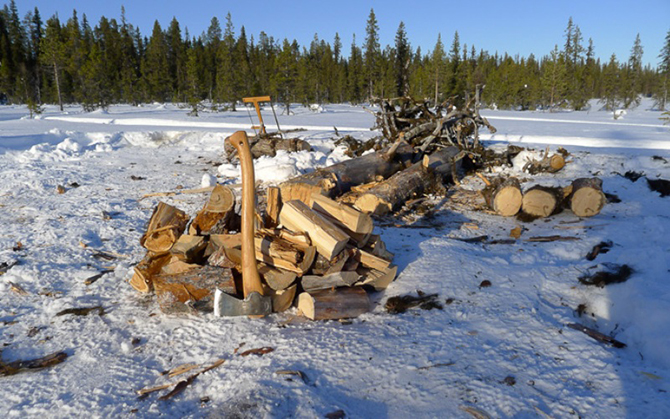 Стратегия выживания весной в лесу Стратегия выживания весной в лесу