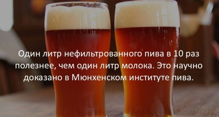 Интересные факты для любознательных