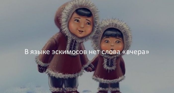 Интересные факты для любознательных