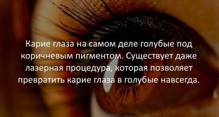 Интересные факты для любознательных