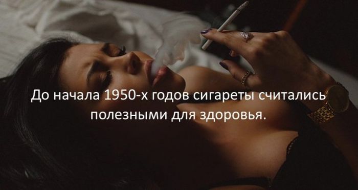 Интересные факты для любознательных