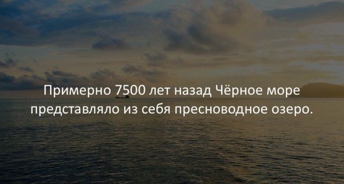 Интересные факты для любознательных