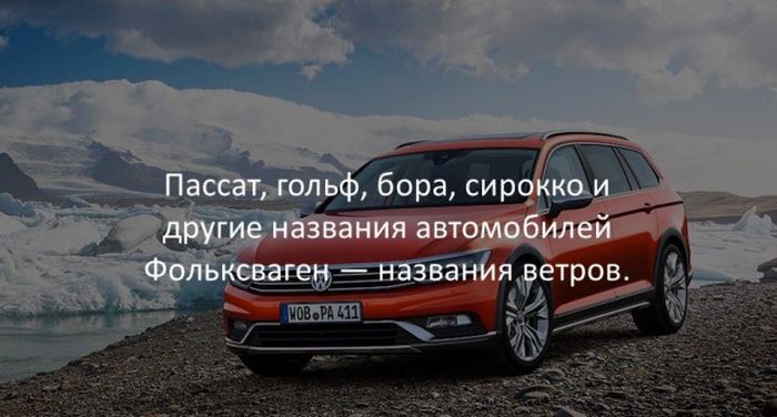 Интересные факты для любознательных