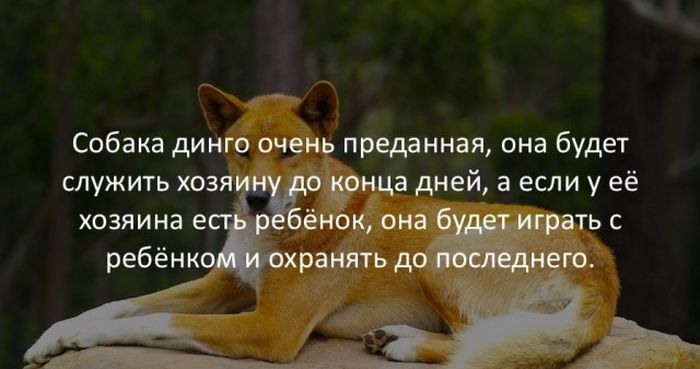Интересные факты для любознательных