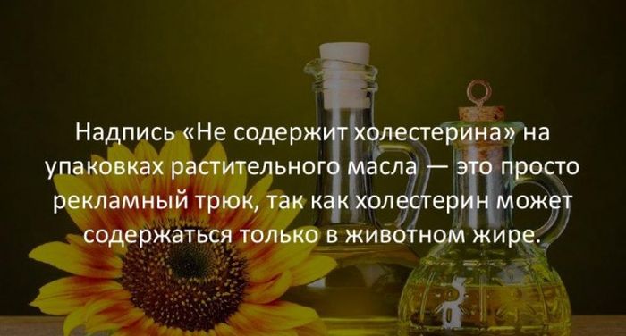 Интересные факты для любознательных