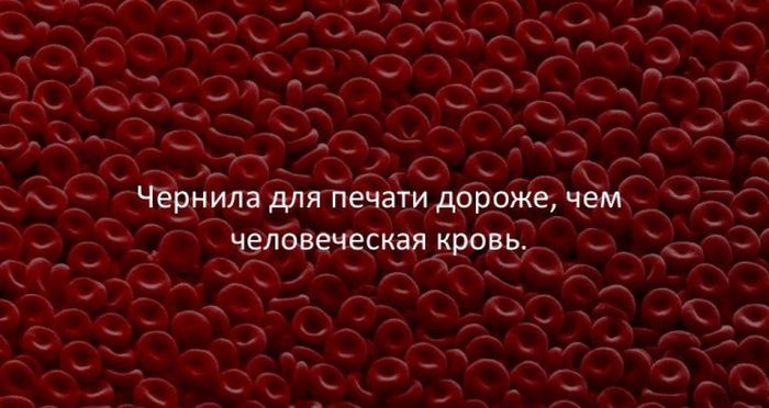 Интересные факты для любознательных