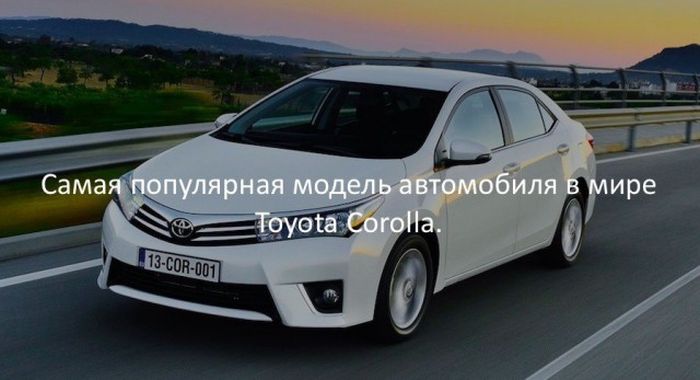 Интересные факты для любознательных