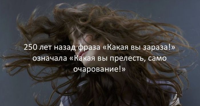 Интересные факты для любознательных