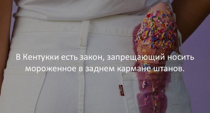 Интересные факты для любознательных