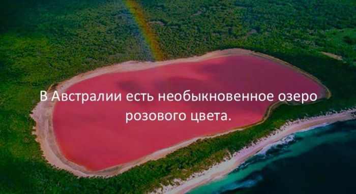 Интересные факты для любознательных