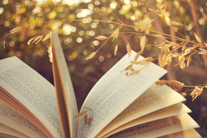 30 книг, на которые вы уже не сможете смотреть по-прежнему 30 книг, на которые вы уже не сможете смотреть по-прежнему