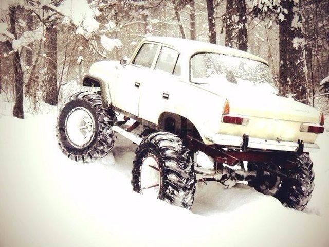 Прикольные картинки