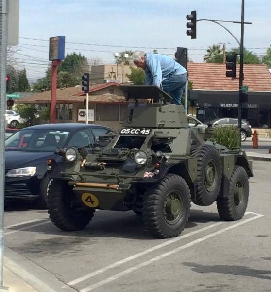 Прикольные картинки