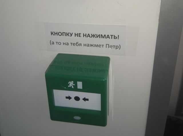 Прикольные картинки