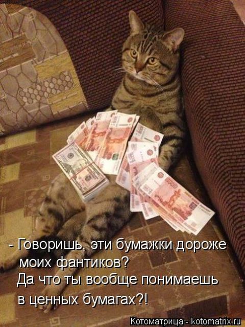 Лучшие котоматрицы недели