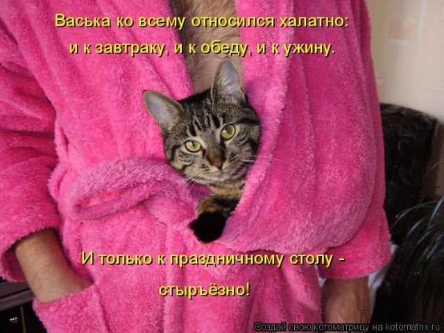 Лучшие котоматрицы недели