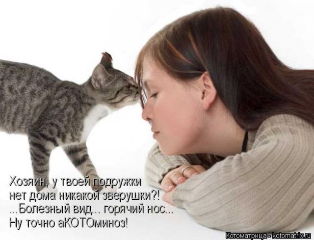 Лучшие котоматрицы недели