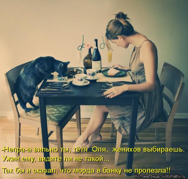 Лучшие котоматрицы недели