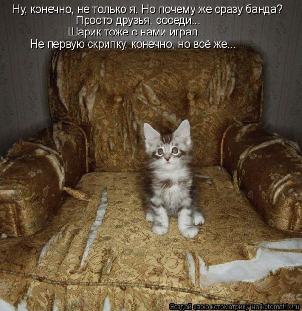 Лучшие котоматрицы недели