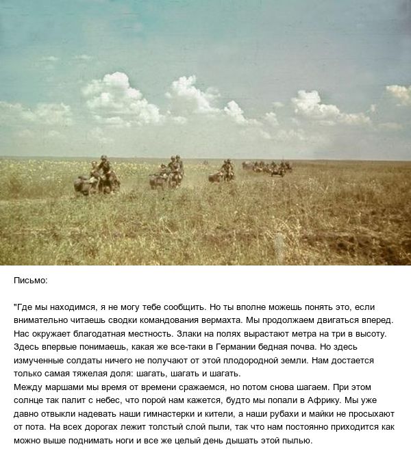 Письмо немецкого ефрейтора бабушке в Мюнхен, лето 1942 года