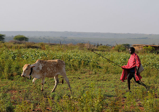 Школы по всему миру