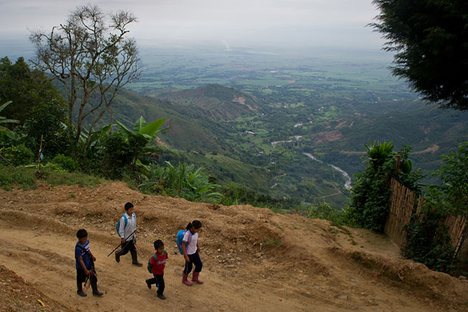 Школы по всему миру