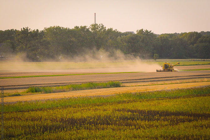 Скромность и обаяние русского гетто в Гамбурге