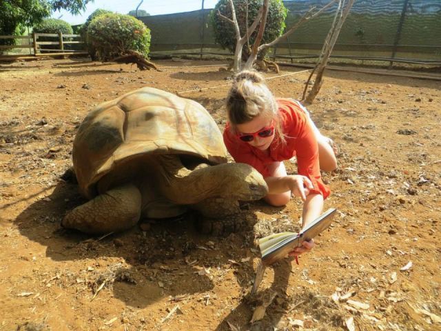 Прикольные картинки