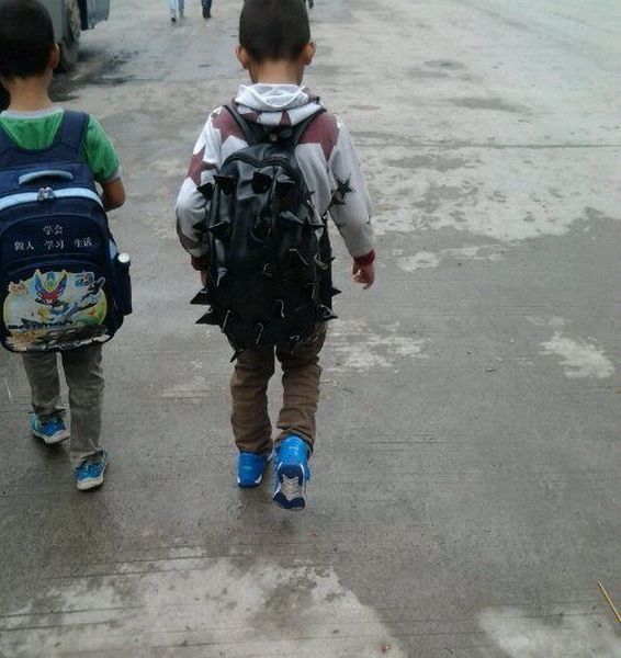 Прикольные картинки