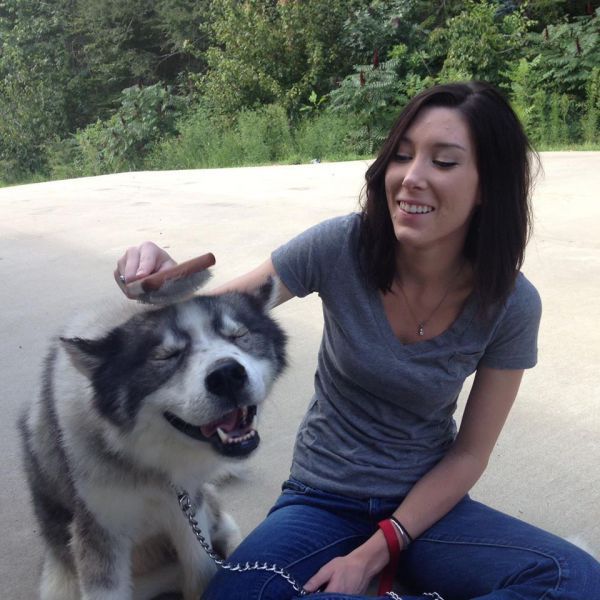 Прикольные картинки