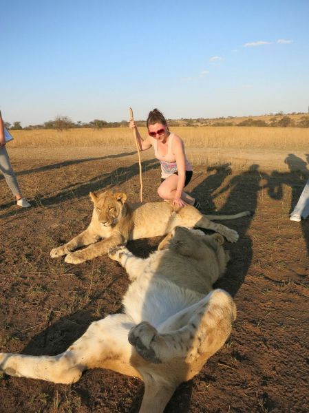 Прикольные картинки