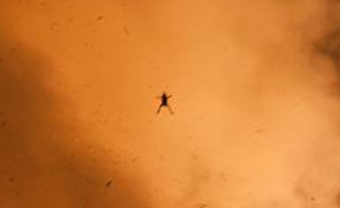 Неожиданная фотобомба