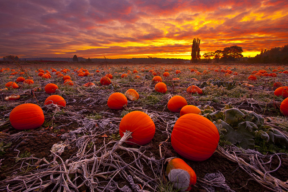 Осенние пейзажи 2014